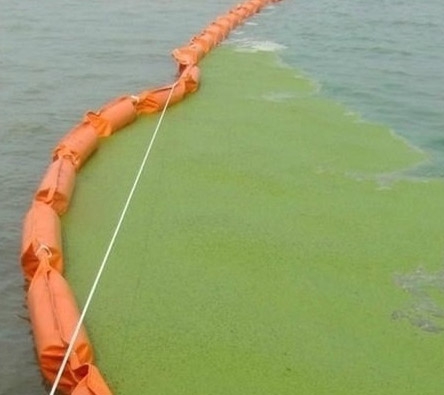 Algae containment boom