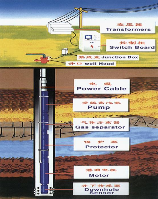 Electric Submersible Pump